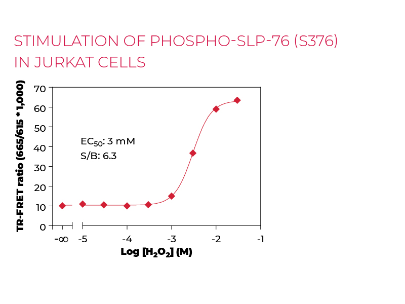 Stimulation of Phospho-SLP-76 (S376) in Jurkat cells