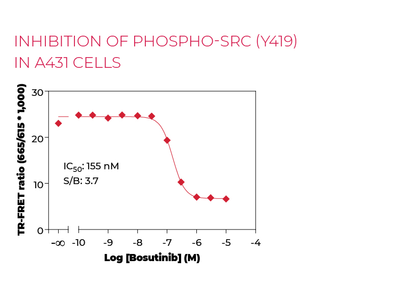 Inhibition of Phospho-SRC (Y419) in A431 cells
