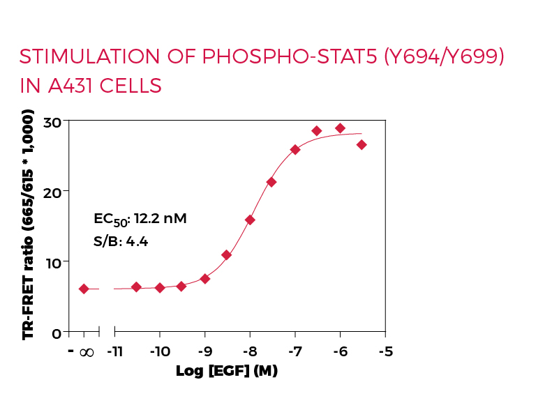 Stimulation of Phospho-STAT5 (Y694/Y699) in  A431 cells