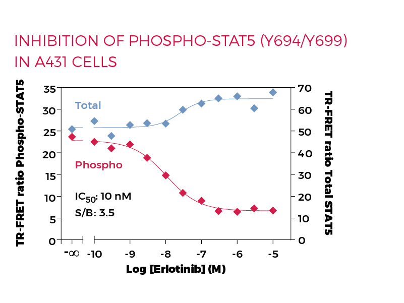 Inhibition of Phospho-STAT5 (Y694/Y699) in A431 cells