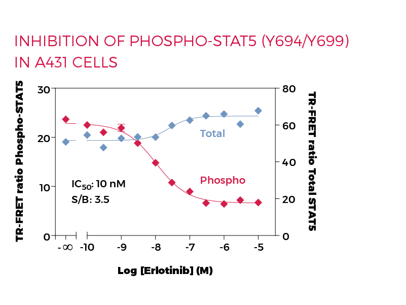 Inhibition of Phospho-STAT5 (Y694/699) in A431 cells