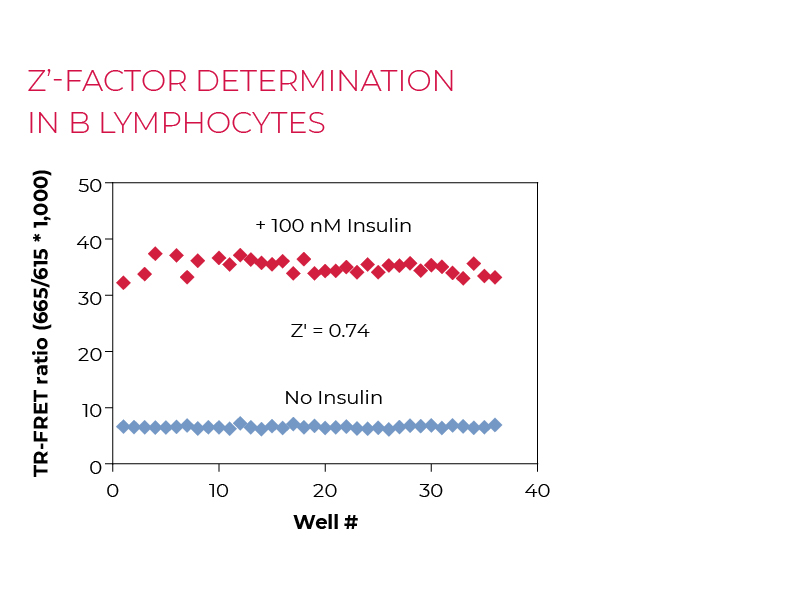 Z'-factor determinationin B lymphocytes