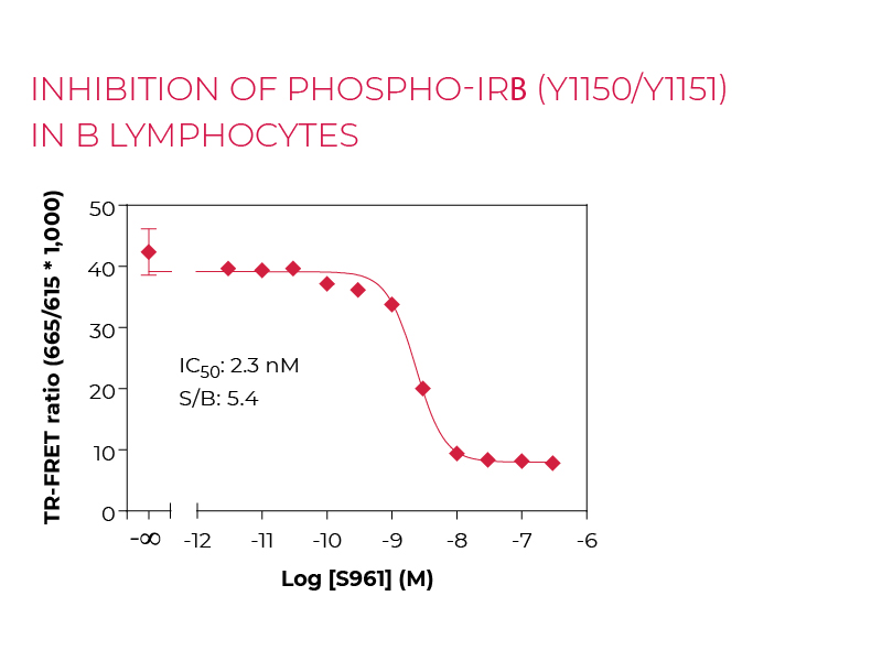 Inhibition of Phospho-IRB (Y1150/Y1151) in B lymphocytes