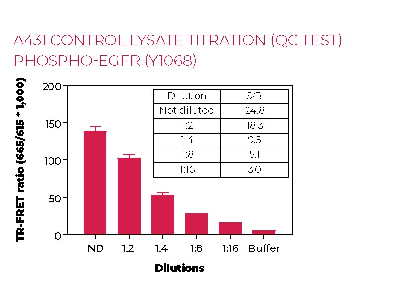 A431 control lysate titration (QC Test)Phospho-EGFR (Y1068)