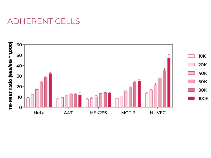 Total GAPDH Adherent cells