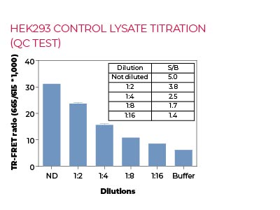 HEK293 control lysate titration (QC Test)