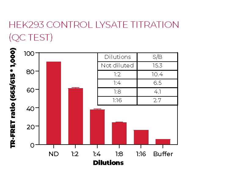 HEK293 control lysate titration (QC Test)