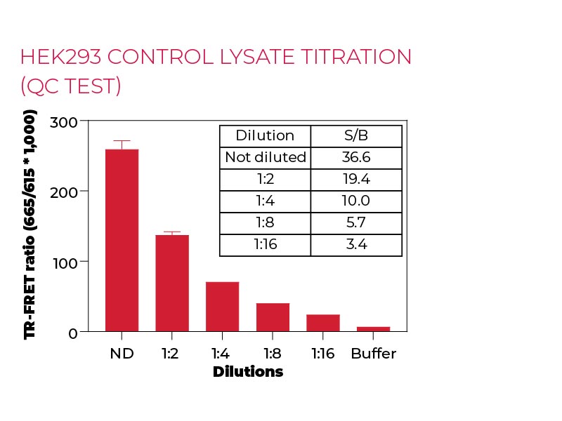 HEK293 control lysate titration (QC Test)