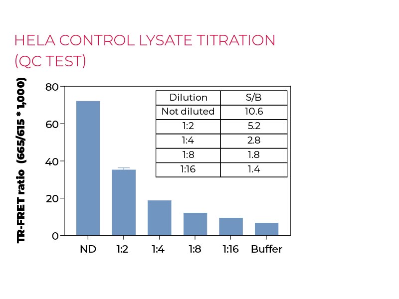 HeLa control lysate titration (QC Test)
