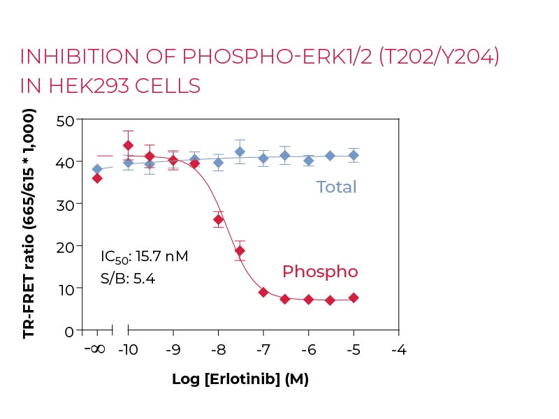 Inhibition of PHOSPHO-ERK1-2 (T202-Y204) in HEK293 cells