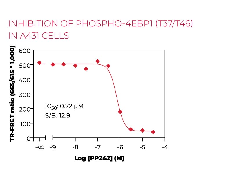 Inhibition of Phospho 4EBP1 (T37-T46)in A431 cells
