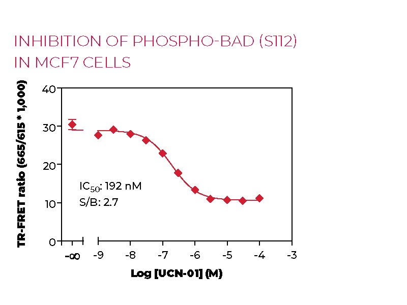 Inhibition of Phospho-BAD (S112) in MCF7 cells