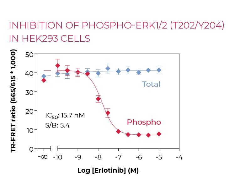 Inhibition of Phospho-ERK1-2 (T202-Y204) in HEK293 cells