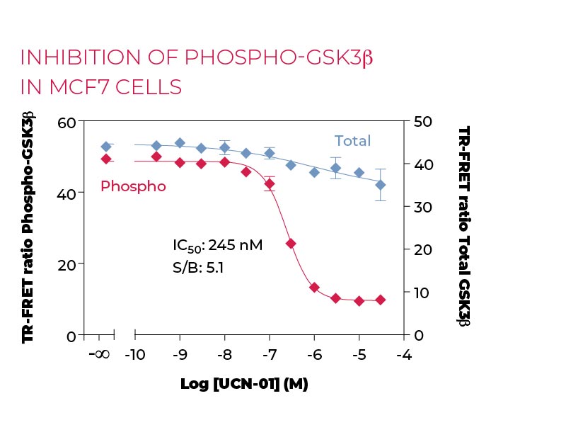 Inhibition of Phospho-GSK3β in MCF7 cells