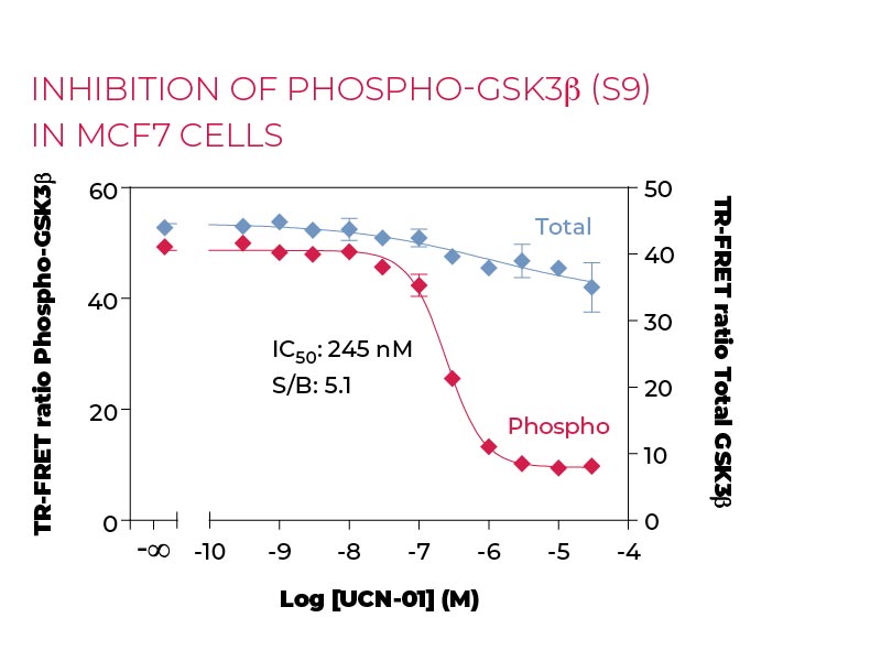 Inhibition of Phospho-GSK3β (S9) in MCF7 cells