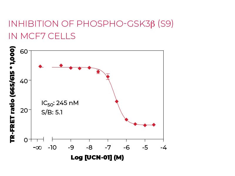 Inhibition of Phospho-GSK3b (S9) in MCF7 cells