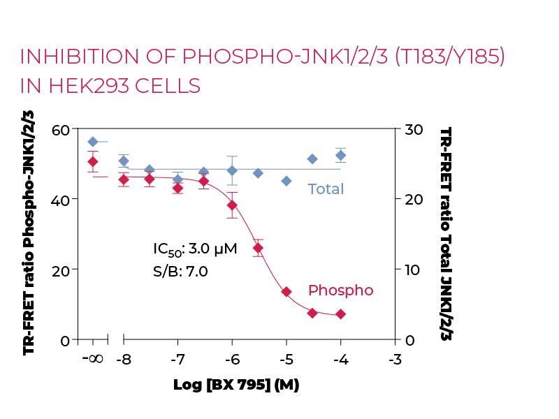 Inhibition of Phospho-JNK1-2-3 (T183-Y185) in HEK293 cells