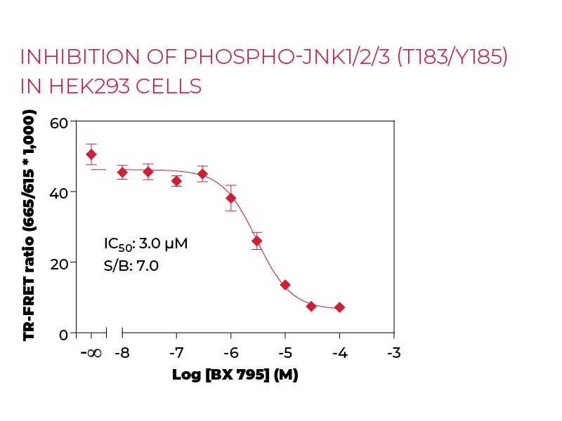 Inhibition of Phospho-JNK1-2-3 (T183-Y185) HEK293 cells