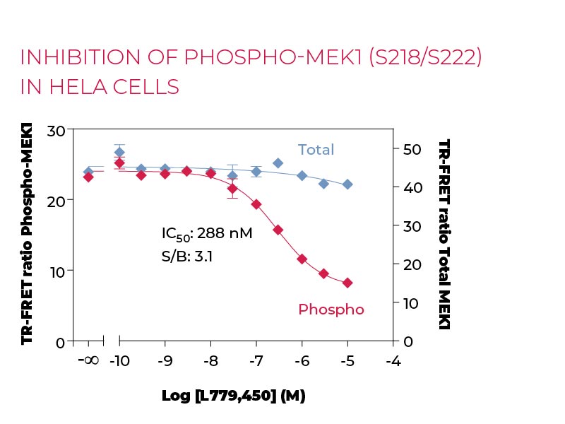 Inhibition of Phospho-MEK1 (S218-S222) in HeLa cells