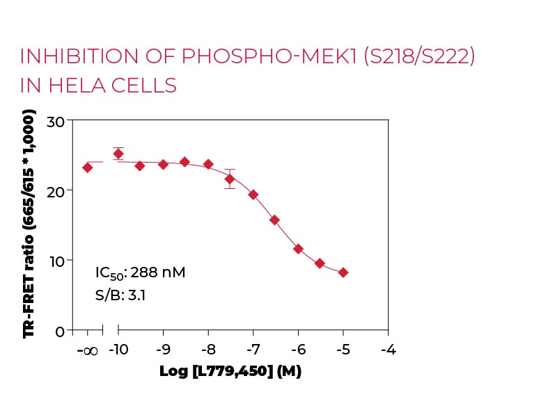 Inhibition of Phospho-MEK1 (S218-S222) in HeLa cells