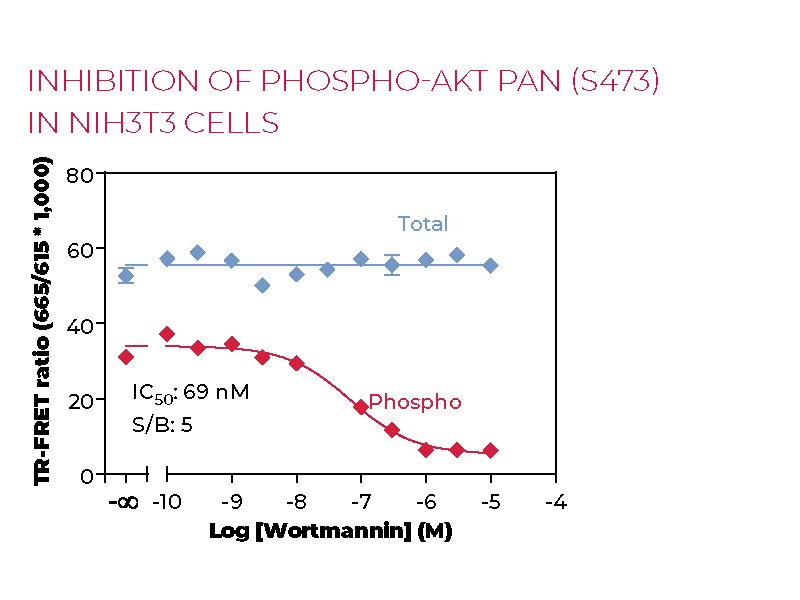 Inhibition of Phospho-Total AKT pan (S473) in NIH3T3 cells