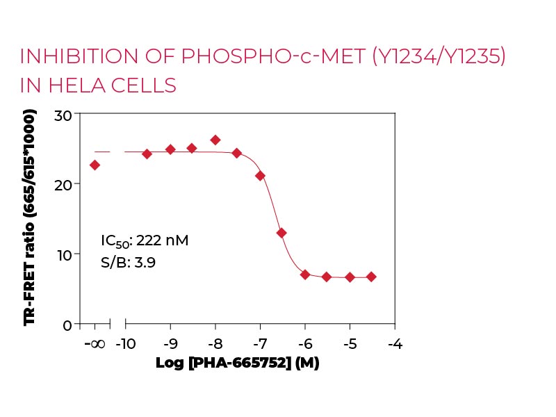 Inhibition of Phospho-c-Met (Y1234-Y1235) in HeLa cells
