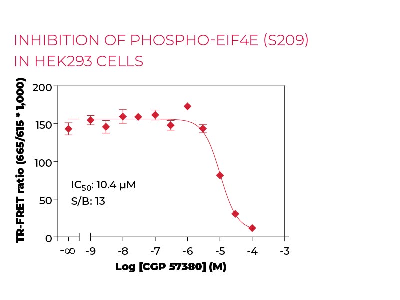Inhibition of Phospho-eIF4E (S209) in HEK293 cells