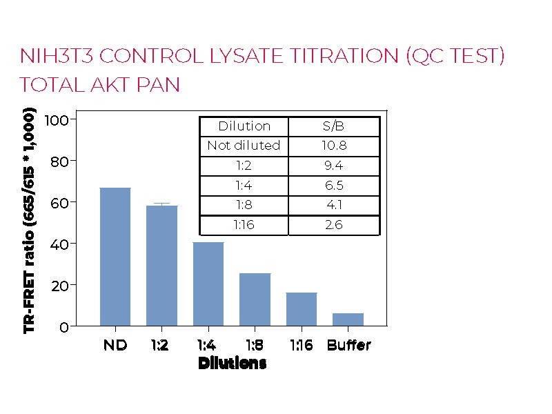 NIH3T3 control lysate titration (QC test) Total AKT pan