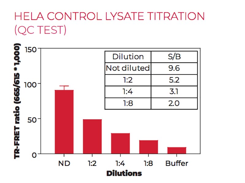HeLa control lysate titration (QC Test)
