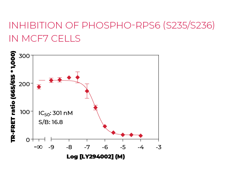 inhibition of Phospho-RPS6 (S235/S236) in MCF7 cells