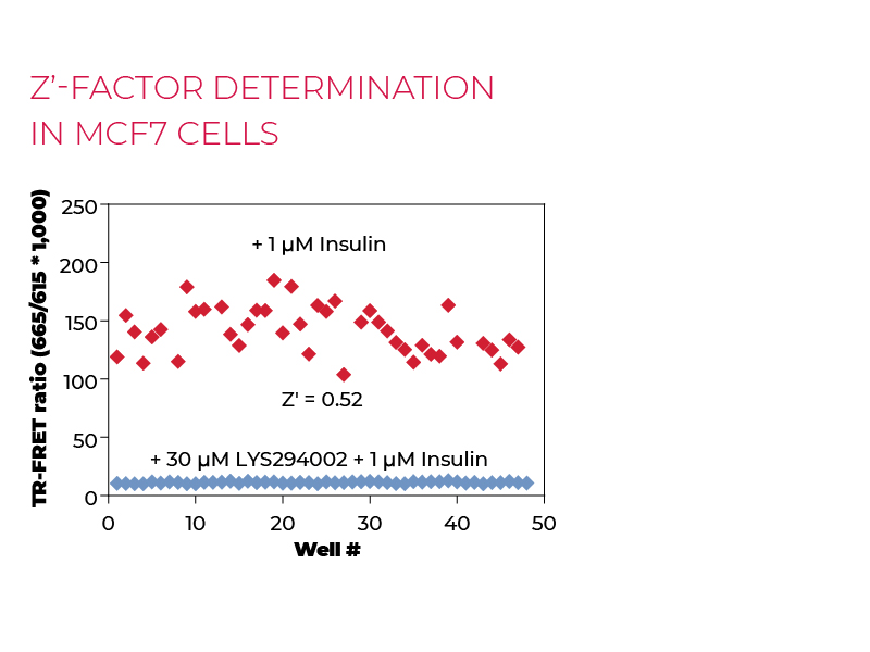 Z'-factor determination in MCF7 cells