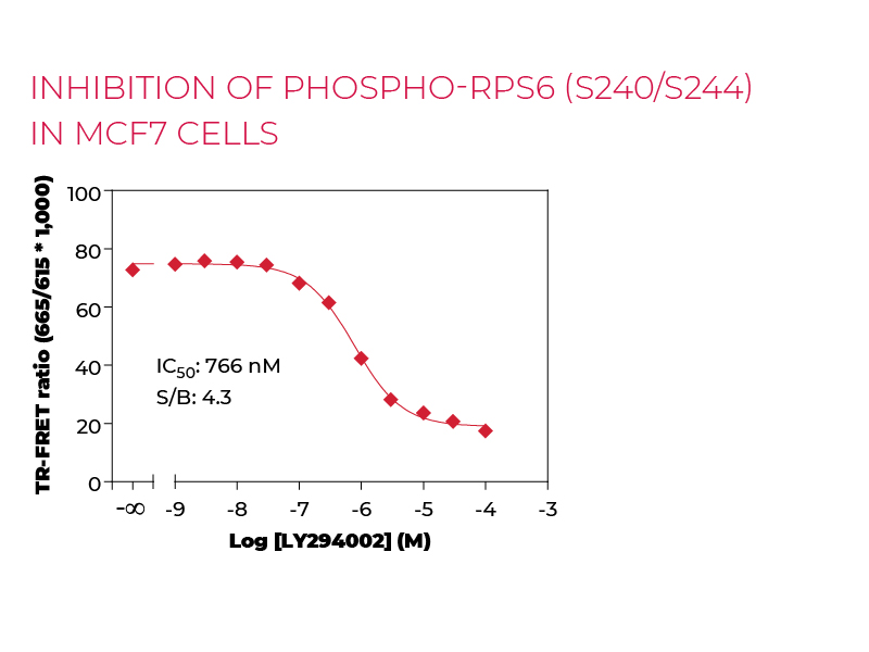 Inhibition of Phospho-RPS6 (S240/S244) in MCF7 cells