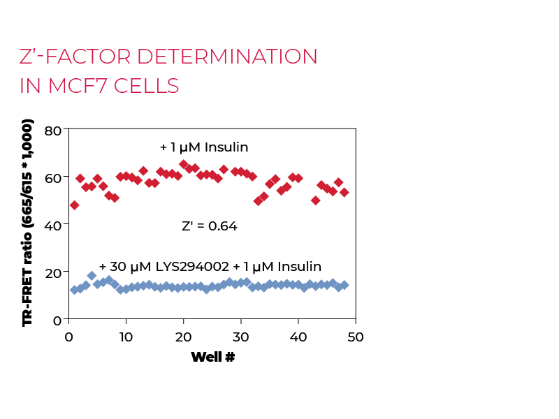 Z'-factor determination in MCF7 cells