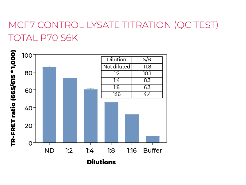 MCF7 control lysate titration (QC Test) total P70 S6K