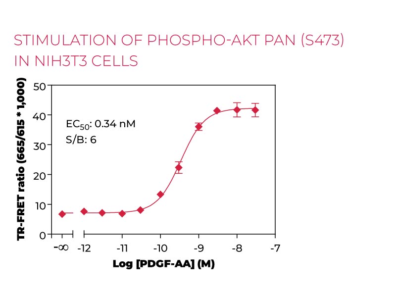 Stimulation of Phospho-AKT pan (S473) NIH3T3cells