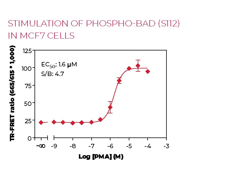 Stimulation of Phospho-BAD (S112) in MCF7 cells