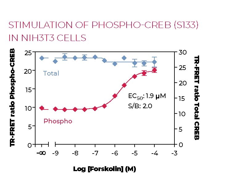 Stimulation of Phospho-CREB (S133) in NIH3T3 cells