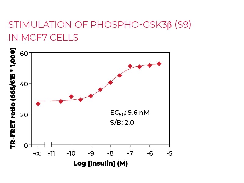 Stimulation of Phospho-GSK3b (S9) in MCF7 cells