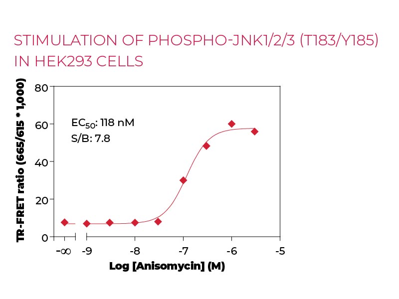 Stimulation of Phospho-JNK1-2-3 (T183-Y185) in HEK293 cells