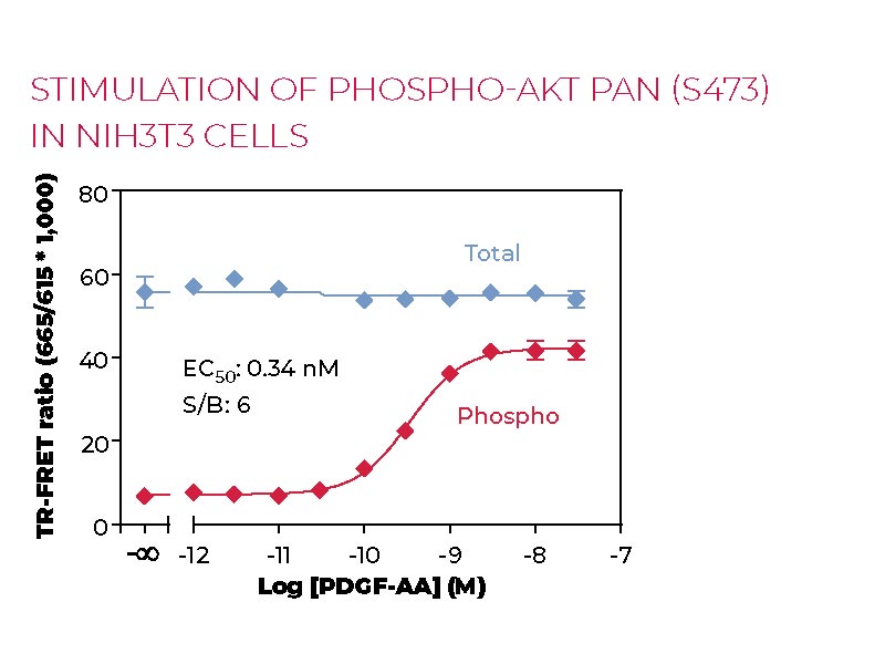 Stimulation of Phospho-Total AKT pan (S473) in NIH3T3 cells