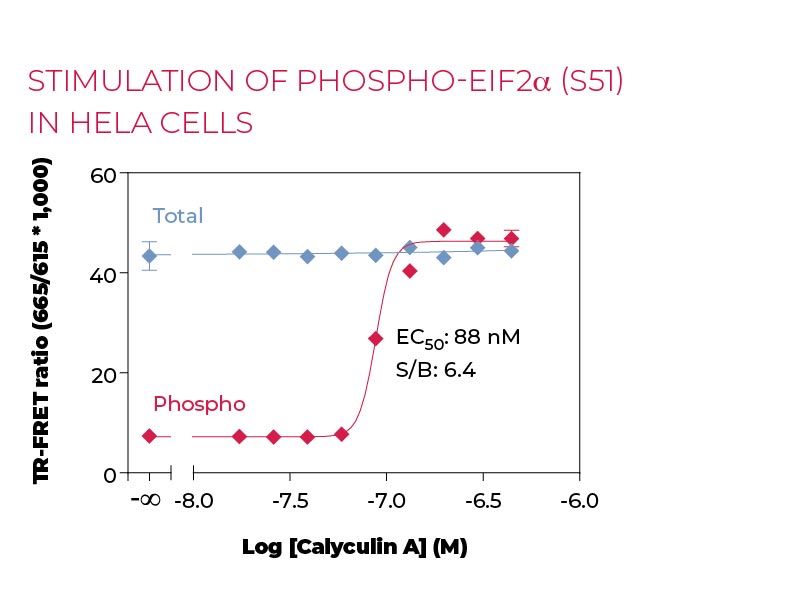 Stimulation of Phospho-eIF2a (S51) in Hela cells