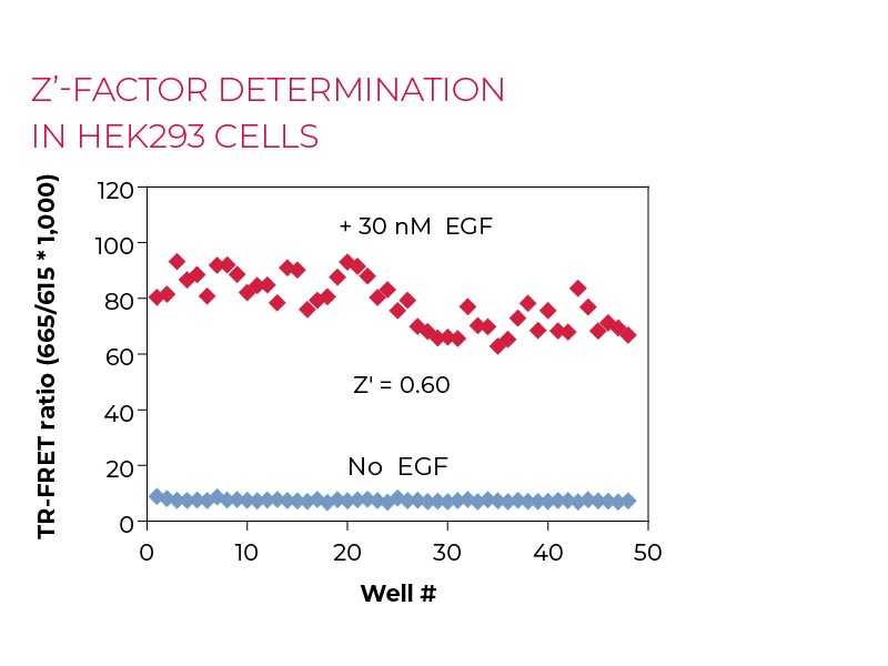 Z'-factor determination (QC Test) HEK293 cells