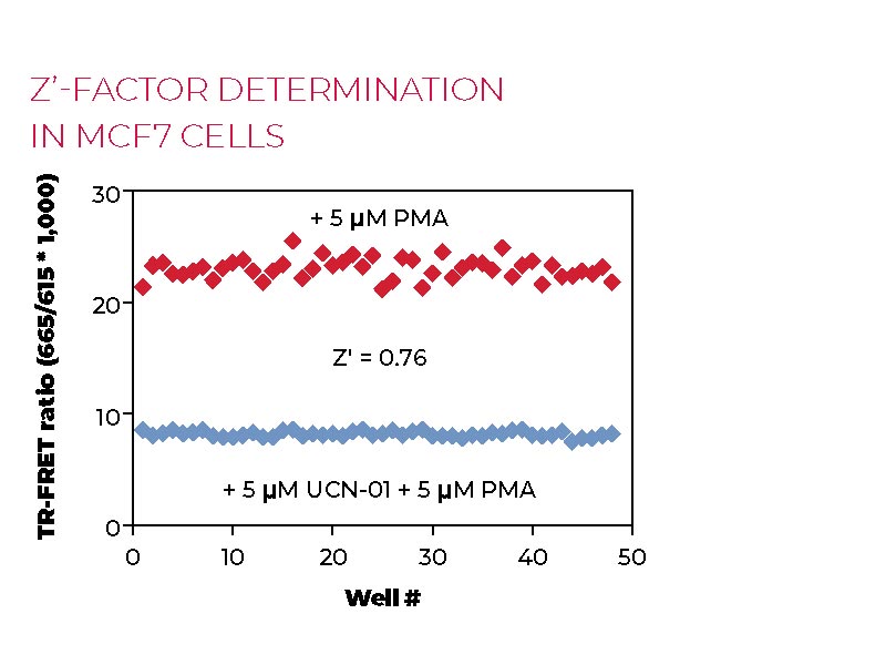 Z'-factor determination in MCF7 cells