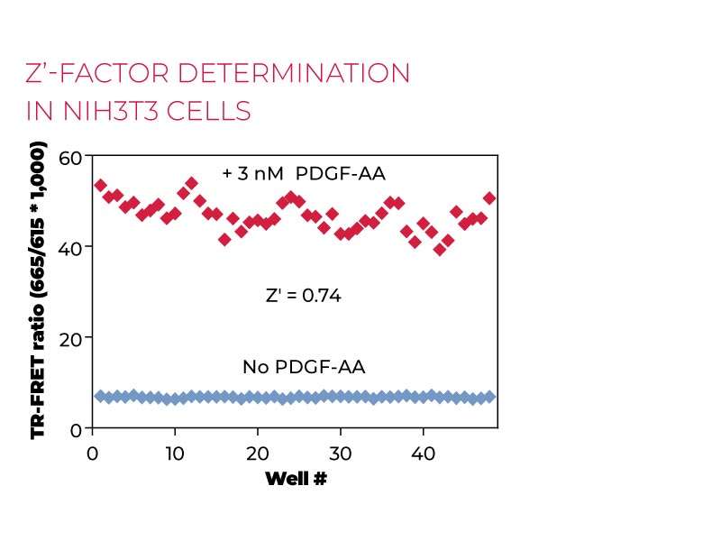 Z'-factor determinationPhospho in NIH3T3 cells
