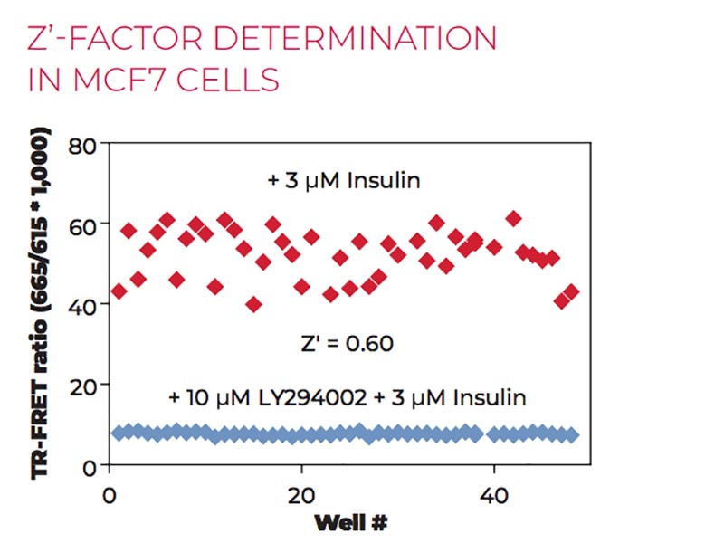Z'-factor determination in MCF7 cells