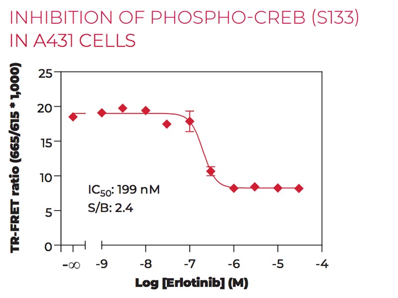 Inhibition of Phospho CREB (S133) in A431 cells