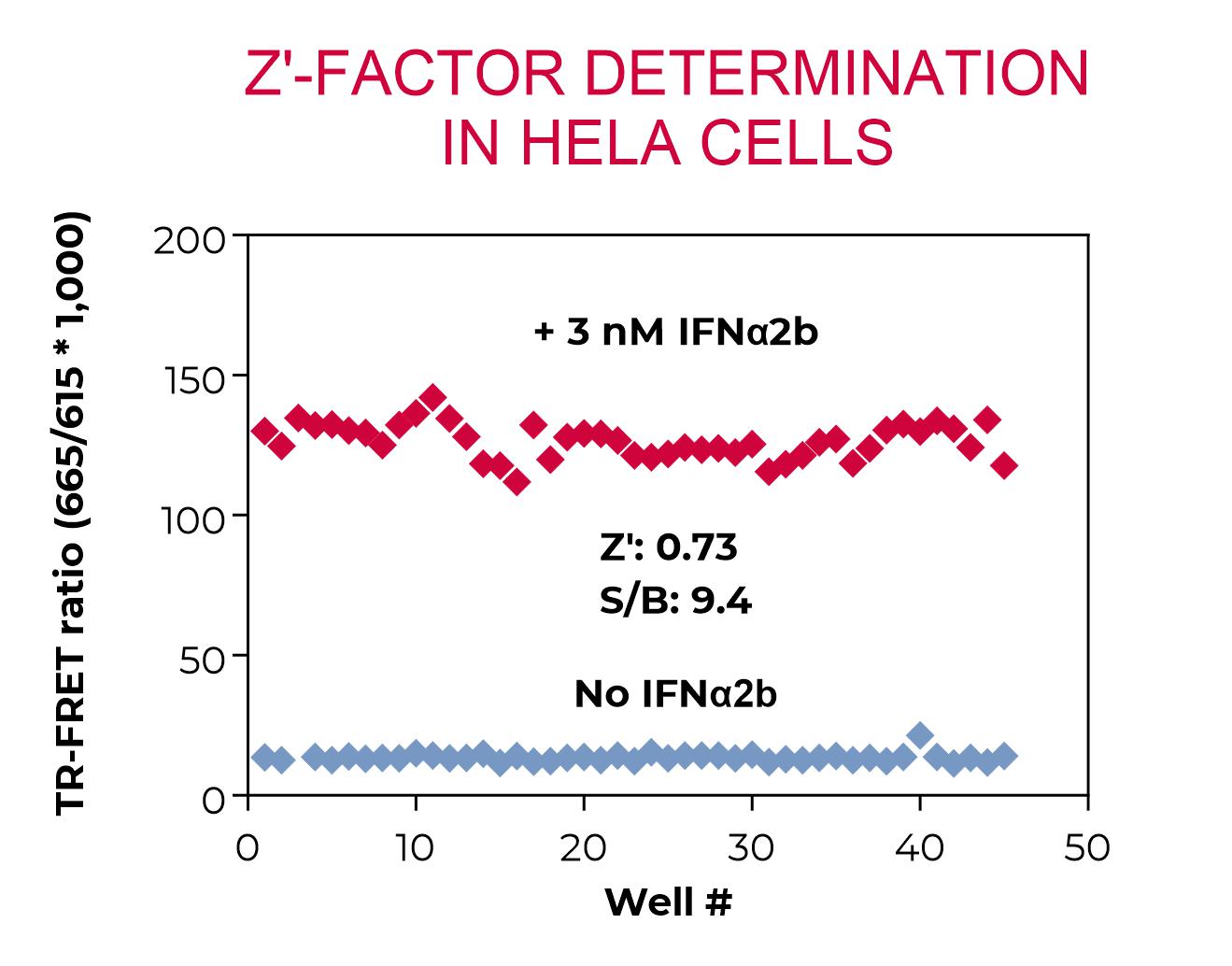 Z'-factor determination in HeLa cells
