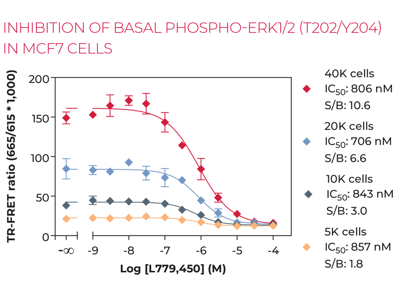 INHIBITION OF BASAL PHOSPHO-ERK1/2 (T202/Y204) IN MCF7 CELLS